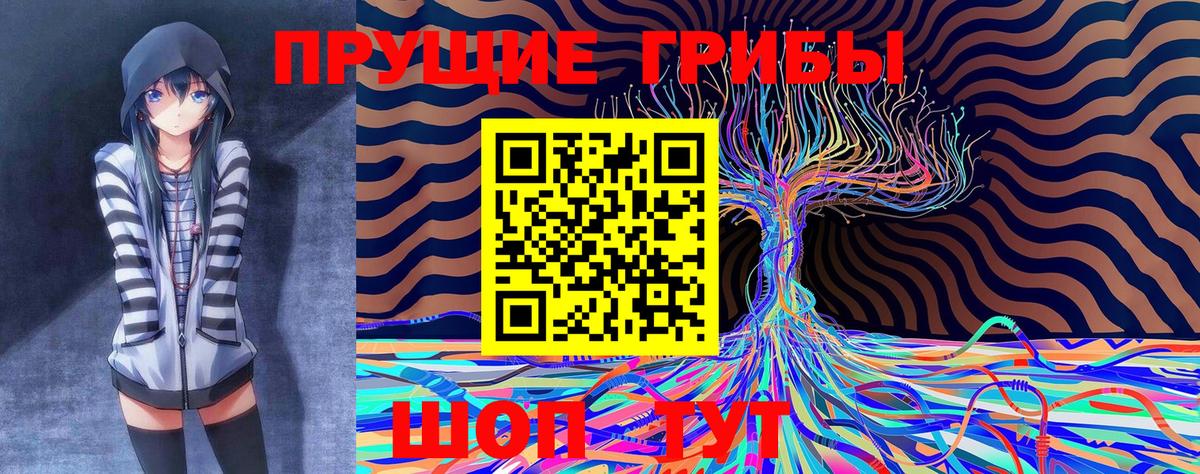 Кирово-Чепецк  Галлюциногенные грибы мицелий  Вход с VPN 
