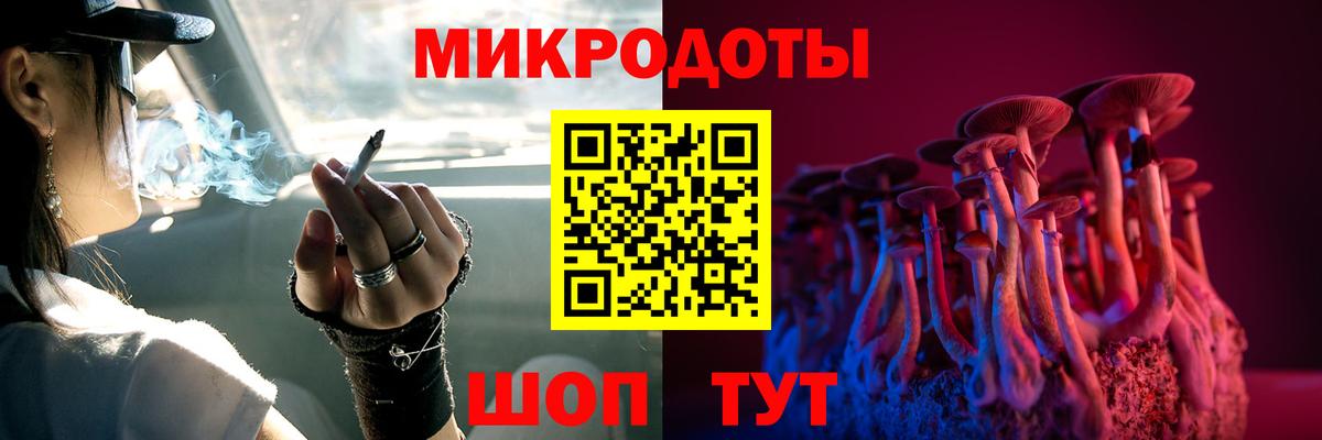 Галлюциногенные грибы Psilocybe Кирово-Чепецк